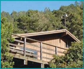 Rancho Del Oso, Davenport, California, Natural History Museum