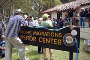 Pacific Migrations, New Brighton State Beach