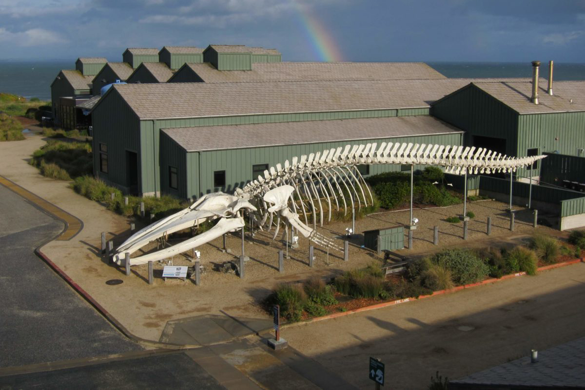 Seymour Marine Discovery Center